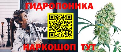 ПСИЛОЦИБИНОВЫЕ ГРИБЫ Заводоуковск